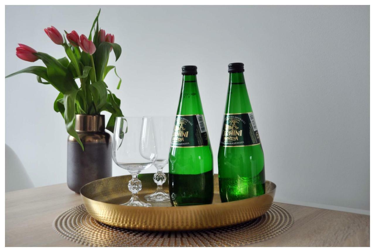 Color 24 Premium Apartment Stalowa Wola Luaran gambar