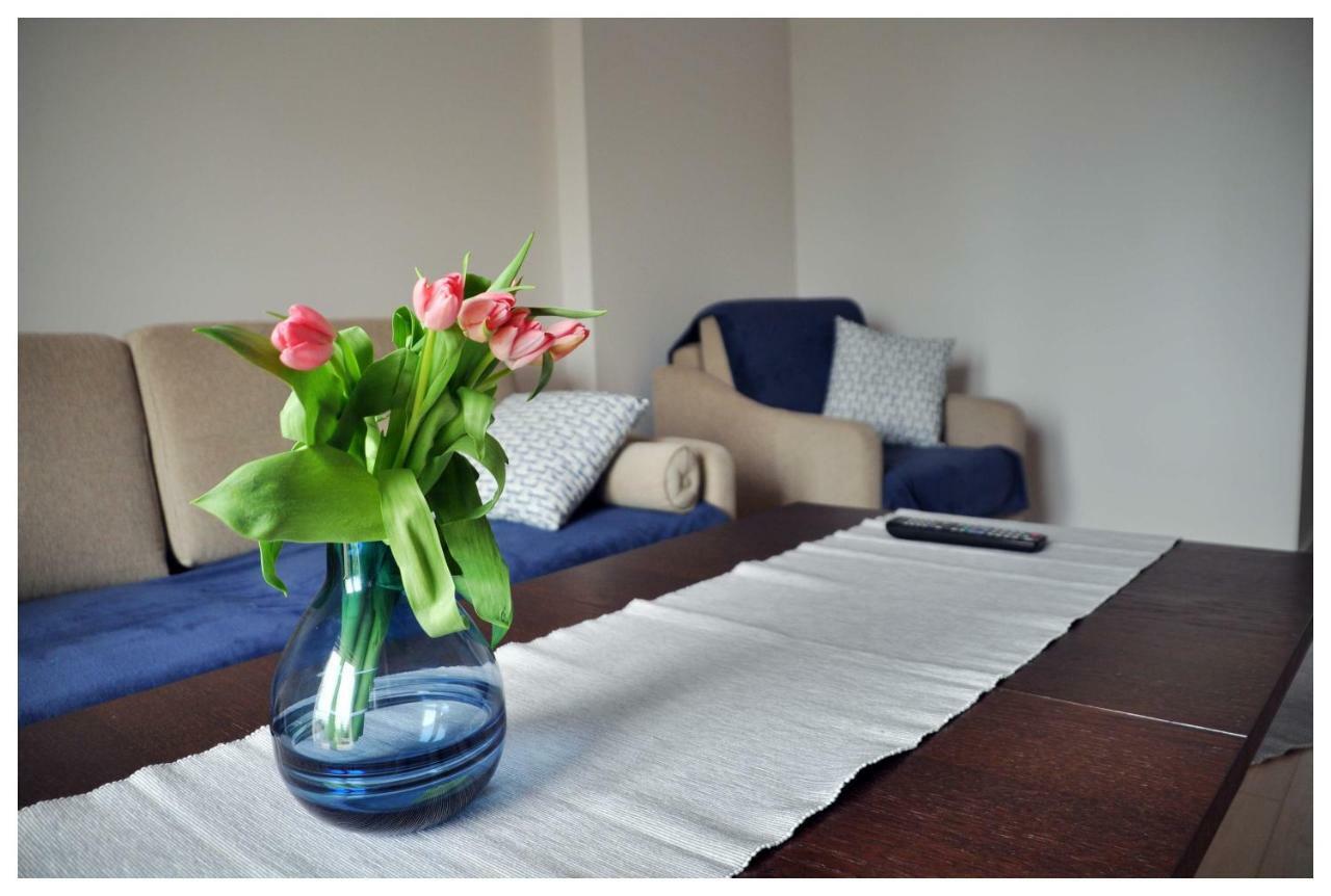 Color 24 Premium Apartment Stalowa Wola Luaran gambar
